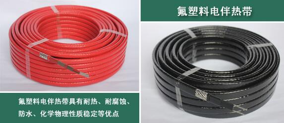 電草莓视频在线免费观看帶