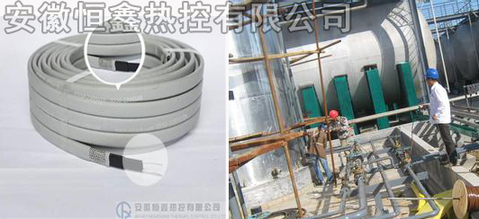 自限溫電草莓视频在线免费观看帶